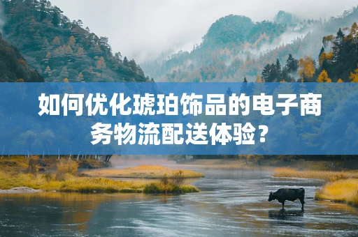 如何优化琥珀饰品的电子商务物流配送体验？