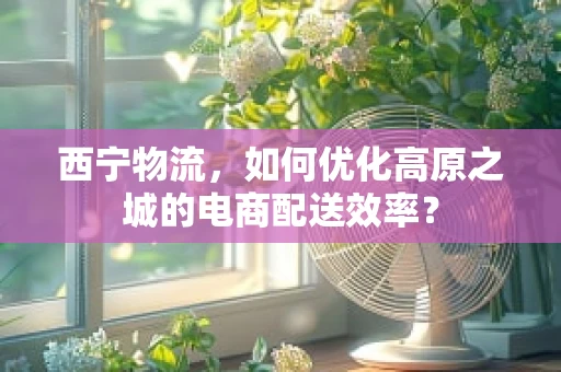 西宁物流，如何优化高原之城的电商配送效率？