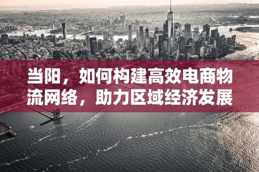 当阳，如何构建高效电商物流网络，助力区域经济发展？