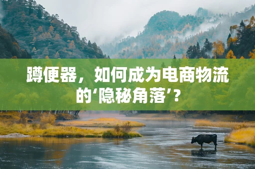 蹲便器，如何成为电商物流的‘隐秘角落’？