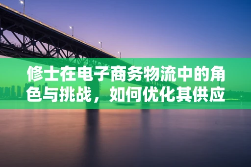修士在电子商务物流中的角色与挑战，如何优化其供应链管理？