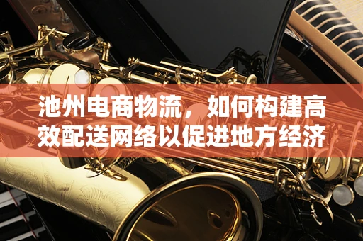 池州电商物流，如何构建高效配送网络以促进地方经济发展？