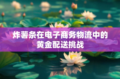 炸薯条在电子商务物流中的黄金配送挑战