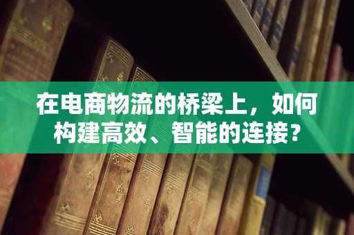 在电商物流的桥梁上，如何构建高效、智能的连接？
