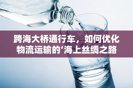 跨海大桥通行车，如何优化物流运输的‘海上丝绸之路’？