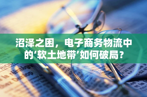 沼泽之困，电子商务物流中的‘软土地带’如何破局？