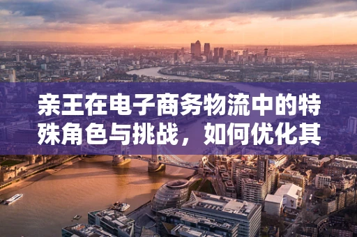 亲王在电子商务物流中的特殊角色与挑战，如何优化其物流体验？