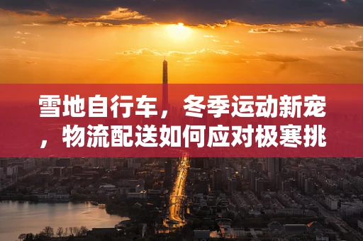 雪地自行车，冬季运动新宠，物流配送如何应对极寒挑战？