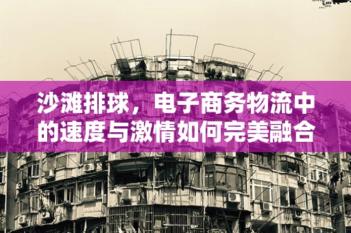 沙滩排球，电子商务物流中的速度与激情如何完美融合？