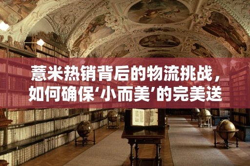 薏米热销背后的物流挑战，如何确保‘小而美’的完美送达？