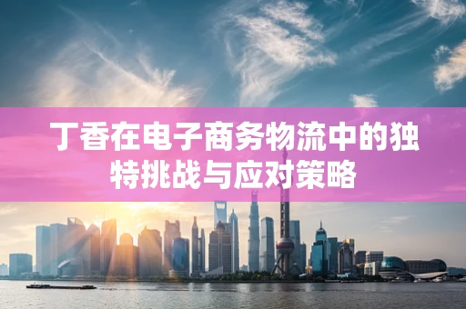 丁香在电子商务物流中的独特挑战与应对策略