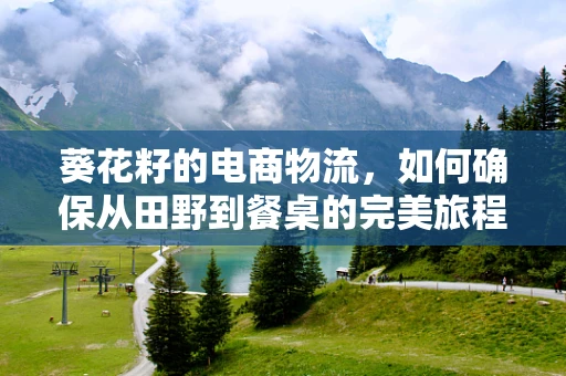 葵花籽的电商物流，如何确保从田野到餐桌的完美旅程？