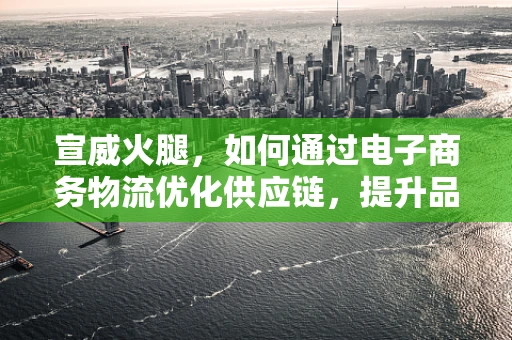 宣威火腿，如何通过电子商务物流优化供应链，提升品牌影响力？