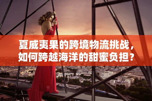 夏威夷果的跨境物流挑战，如何跨越海洋的甜蜜负担？