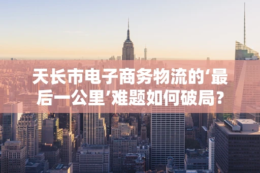 天长市电子商务物流的‘最后一公里’难题如何破局？
