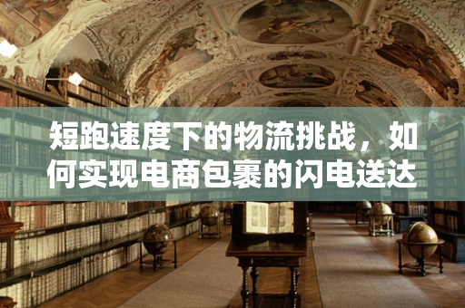 短跑速度下的物流挑战，如何实现电商包裹的闪电送达？