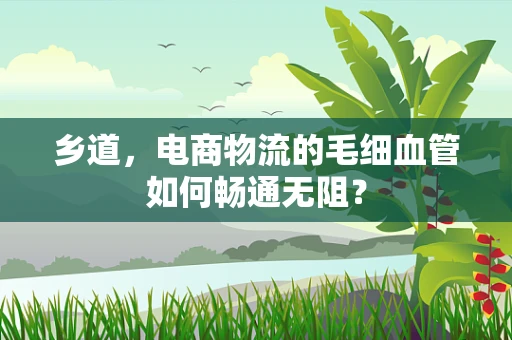 乡道，电商物流的毛细血管如何畅通无阻？