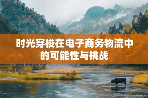 时光穿梭在电子商务物流中的可能性与挑战