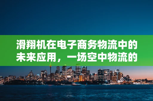 滑翔机在电子商务物流中的未来应用，一场空中物流的革命？