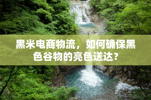 黑米电商物流，如何确保黑色谷物的亮色送达？