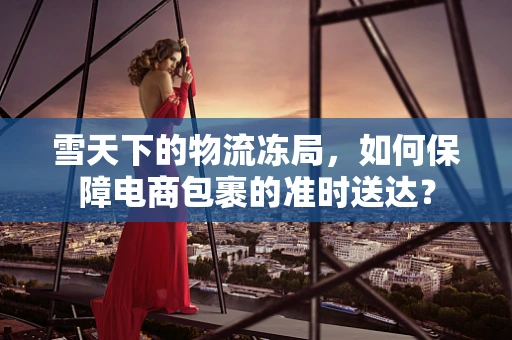 雪天下的物流冻局，如何保障电商包裹的准时送达？