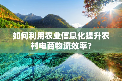 如何利用农业信息化提升农村电商物流效率？