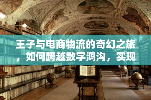 王子与电商物流的奇幻之旅，如何跨越数字鸿沟，实现高效配送？