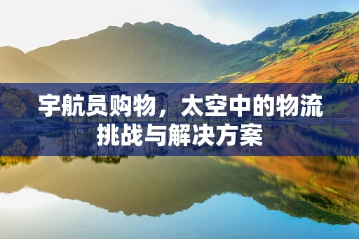 宇航员购物，太空中的物流挑战与解决方案