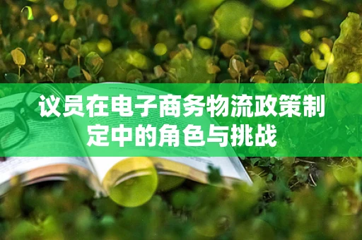 议员在电子商务物流政策制定中的角色与挑战