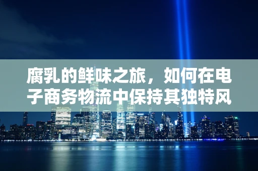 腐乳的鲜味之旅，如何在电子商务物流中保持其独特风味？