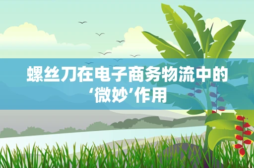 螺丝刀在电子商务物流中的‘微妙’作用