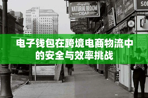 电子钱包在跨境电商物流中的安全与效率挑战