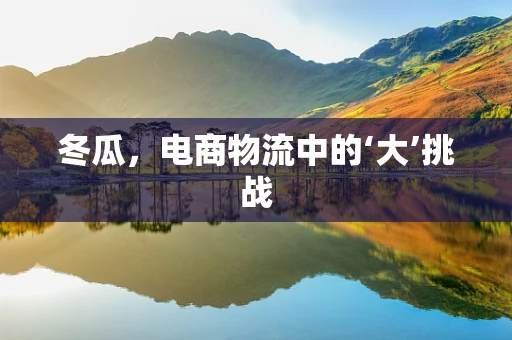 冬瓜，电商物流中的‘大’挑战