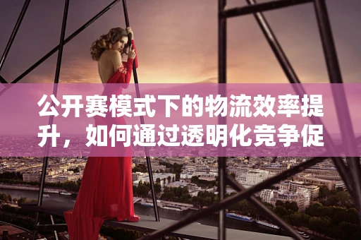 公开赛模式下的物流效率提升，如何通过透明化竞争促进电商物流革新？