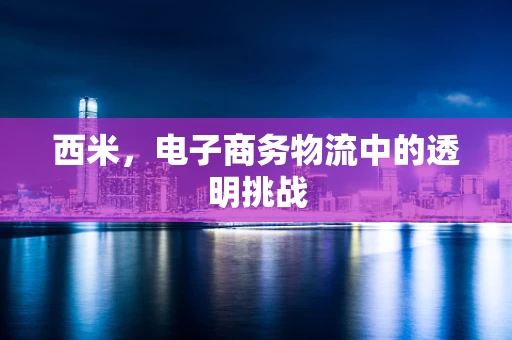 西米，电子商务物流中的透明挑战