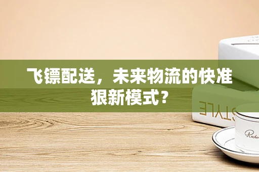 飞镖配送，未来物流的快准狠新模式？
