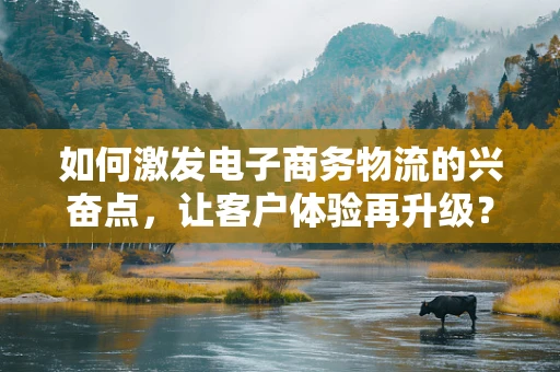 如何激发电子商务物流的兴奋点，让客户体验再升级？