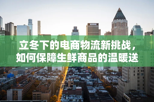 立冬下的电商物流新挑战，如何保障生鲜商品的温暖送达？