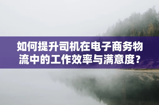 如何提升司机在电子商务物流中的工作效率与满意度？