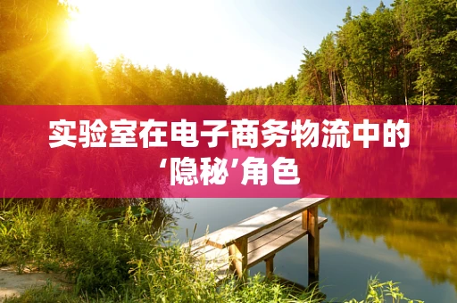 实验室在电子商务物流中的‘隐秘’角色