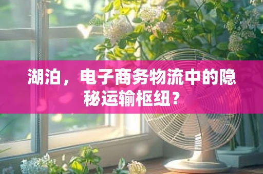 湖泊，电子商务物流中的隐秘运输枢纽？