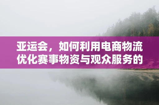 亚运会，如何利用电商物流优化赛事物资与观众服务的最后一公里？