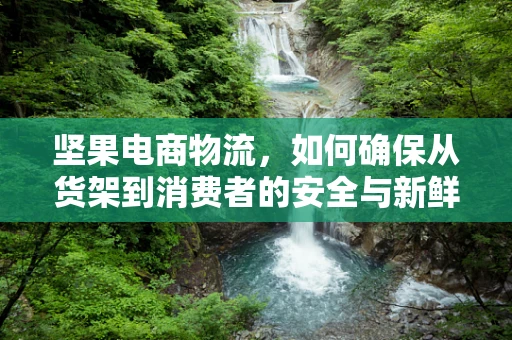 坚果电商物流，如何确保从货架到消费者的安全与新鲜？