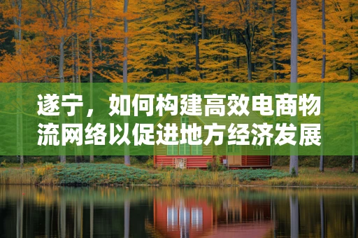 遂宁，如何构建高效电商物流网络以促进地方经济发展？