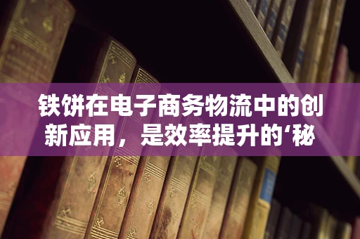 铁饼在电子商务物流中的创新应用，是效率提升的‘秘密武器’吗？