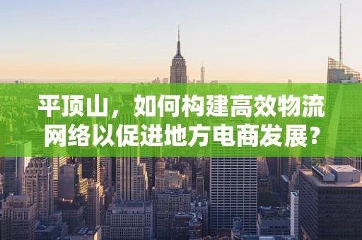 平顶山，如何构建高效物流网络以促进地方电商发展？