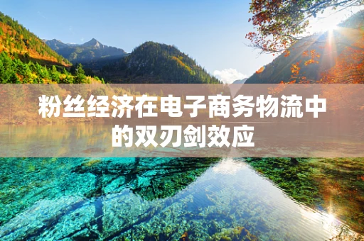 粉丝经济在电子商务物流中的双刃剑效应