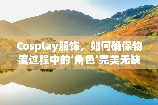 Cosplay服饰，如何确保物流过程中的‘角色’完美无缺？