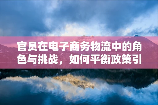 官员在电子商务物流中的角色与挑战，如何平衡政策引导与市场效率？