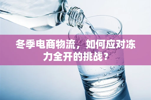 冬季电商物流，如何应对冻力全开的挑战？